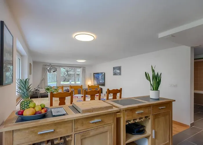 Riverside Apartment Zermatt